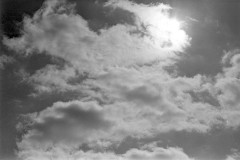 brhs_0134