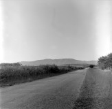 brhs_0568
