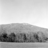 brhs_0637