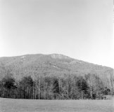 brhs_0639