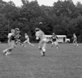brhs_0608