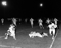 brhs_0981