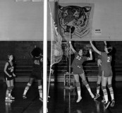 Volleyball